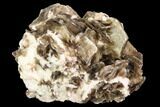 Muscovite & White Albite Crystal Association - Brazil #95575-2